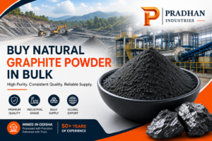 Buy Natural Graphite Powder in Bulk | Pradhan